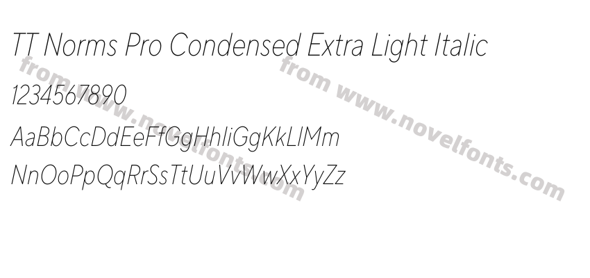 TT Norms Pro Condensed Extra Light ItalicPreview