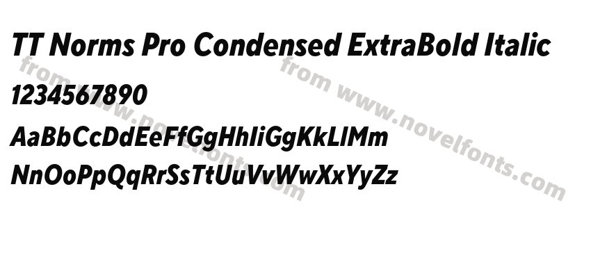 TT Norms Pro Condensed ExtraBold ItalicPreview