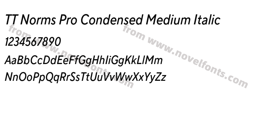 TT Norms Pro Condensed Medium ItalicPreview