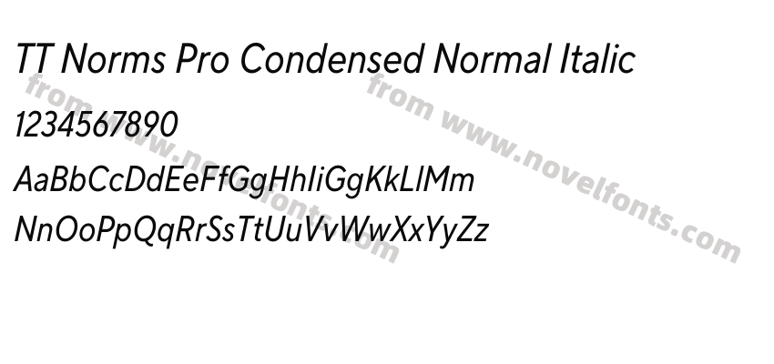 TT Norms Pro Condensed Normal ItalicPreview