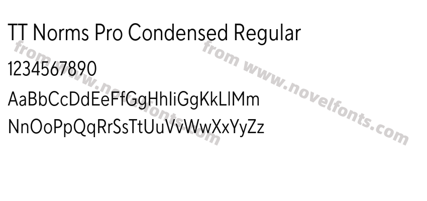 TT Norms Pro Condensed RegularPreview