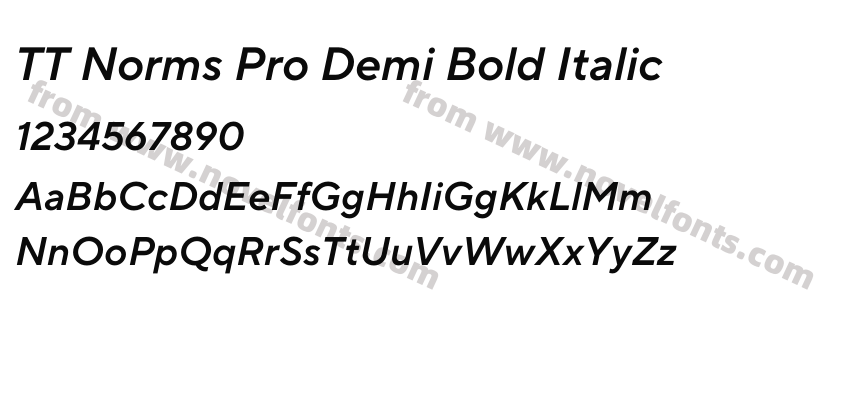 TT Norms Pro Demi Bold ItalicPreview