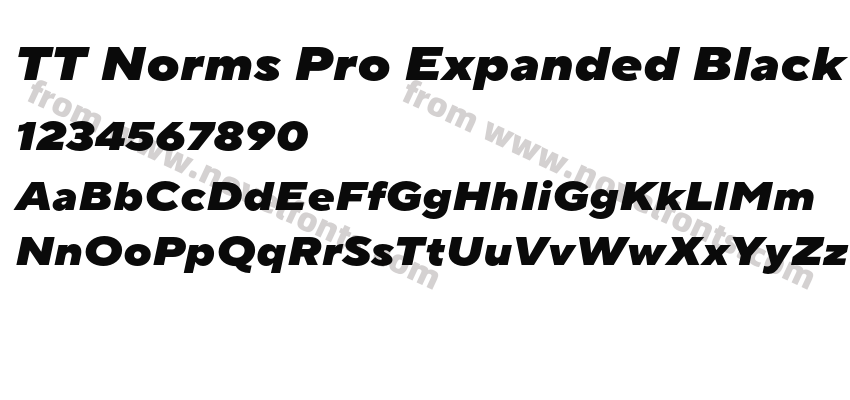 TT Norms Pro Expanded Black ItalicPreview