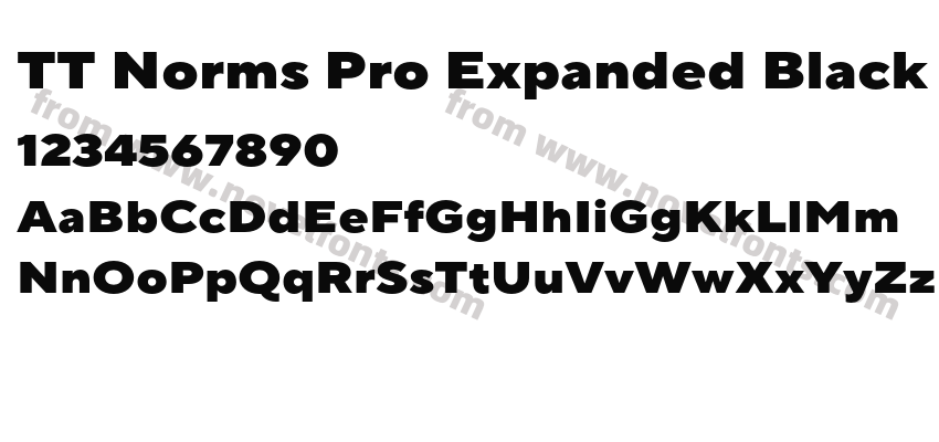 TT Norms Pro Expanded BlackPreview