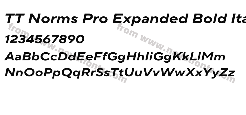 TT Norms Pro Expanded Bold ItalicPreview