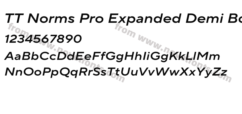 TT Norms Pro Expanded Demi Bold ItalicPreview