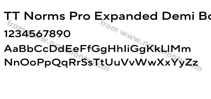 TT Norms Pro Expanded Demi BoldPreview