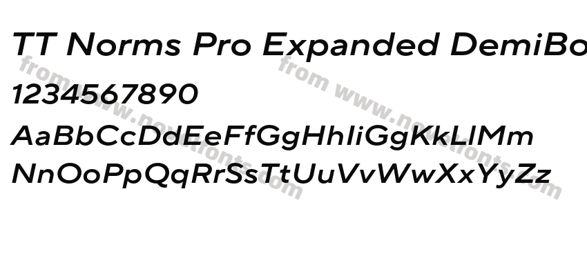 TT Norms Pro Expanded DemiBold ItalicPreview