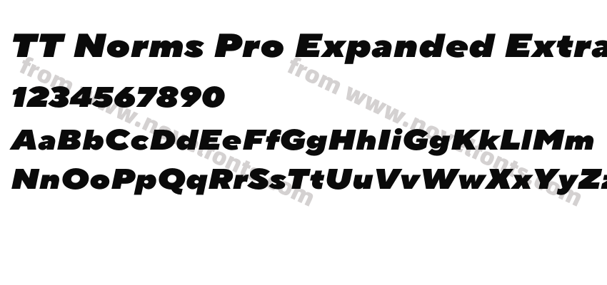 TT Norms Pro Expanded Extra Black ItalicPreview