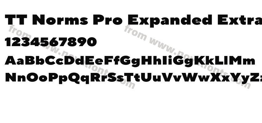 TT Norms Pro Expanded Extra BlackPreview