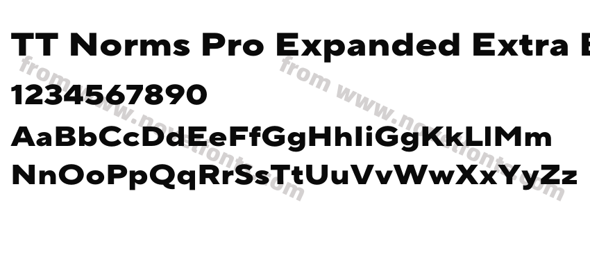 TT Norms Pro Expanded Extra BoldPreview