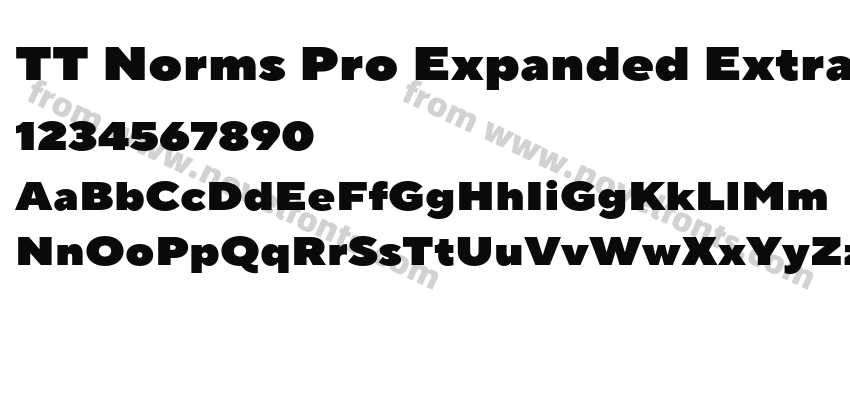 TT Norms Pro Expanded ExtraBlackPreview