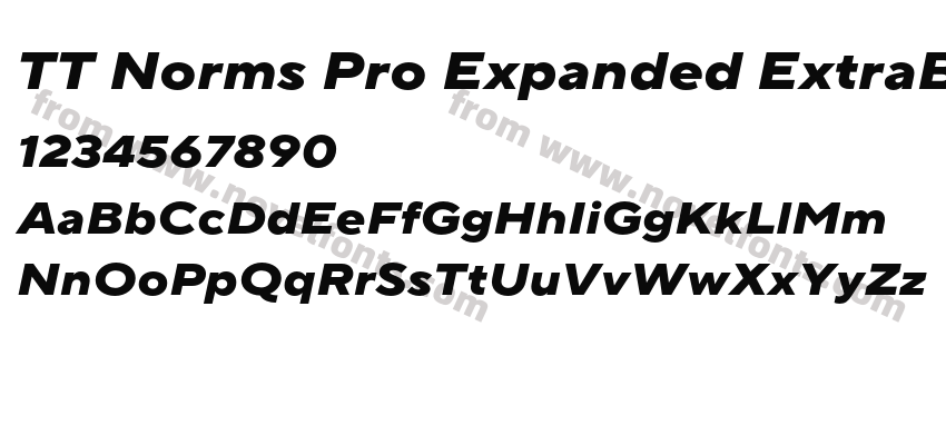 TT Norms Pro Expanded ExtraBold ItalicPreview