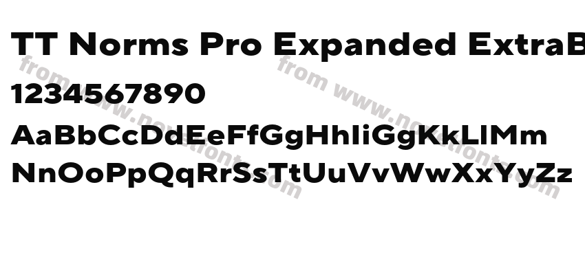 TT Norms Pro Expanded ExtraBoldPreview