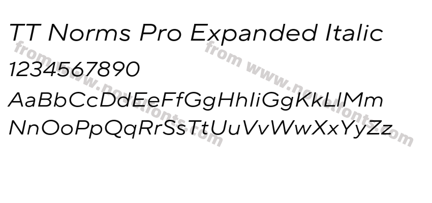 TT Norms Pro Expanded ItalicPreview