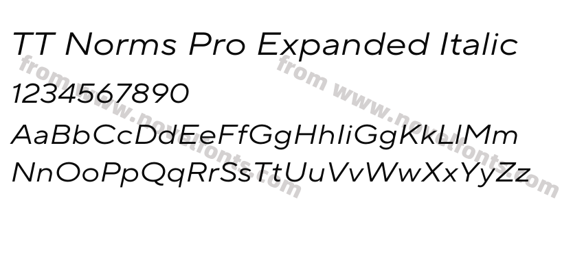 TT Norms Pro Expanded ItalicPreview