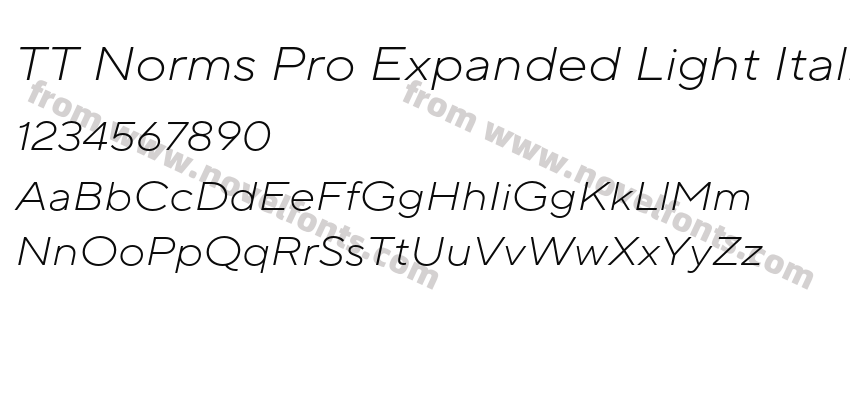 TT Norms Pro Expanded Light ItalicPreview