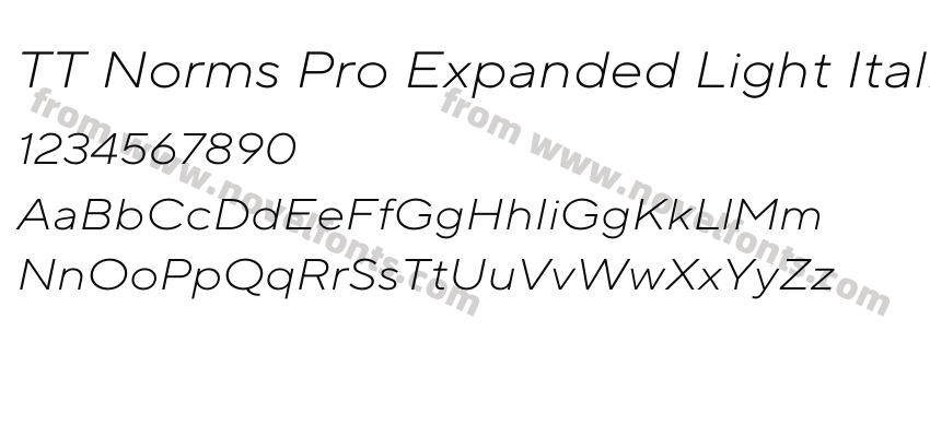 TT Norms Pro Expanded Light ItalicPreview