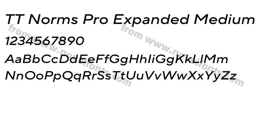 TT Norms Pro Expanded Medium ItalicPreview