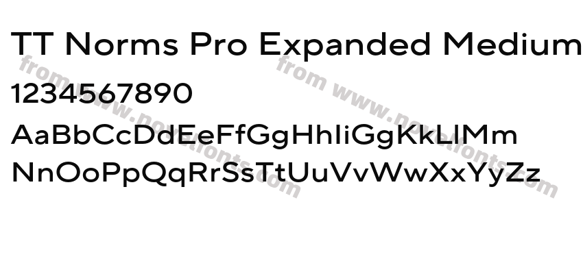 TT Norms Pro Expanded MediumPreview