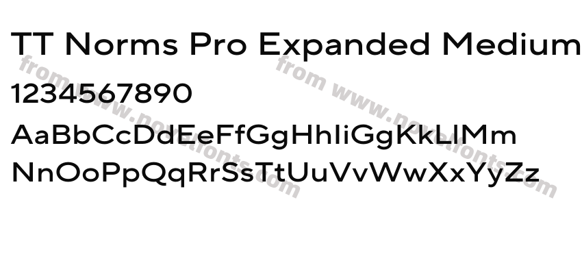 TT Norms Pro Expanded MediumPreview