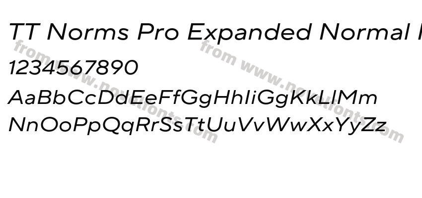 TT Norms Pro Expanded Normal ItalicPreview