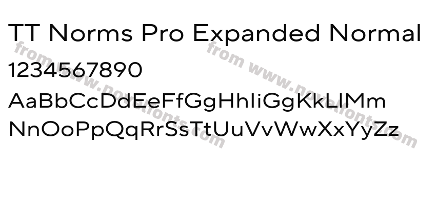 TT Norms Pro Expanded NormalPreview