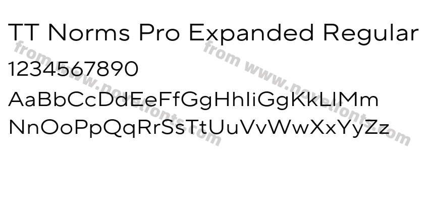 TT Norms Pro Expanded RegularPreview
