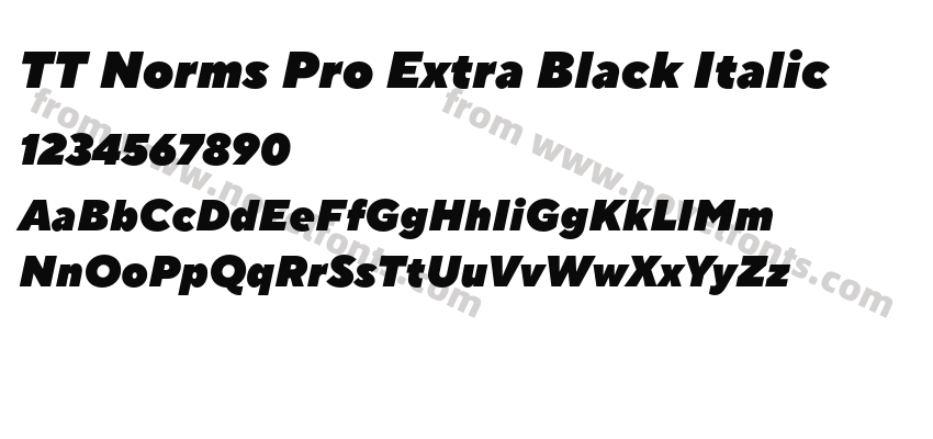 TT Norms Pro Extra Black ItalicPreview
