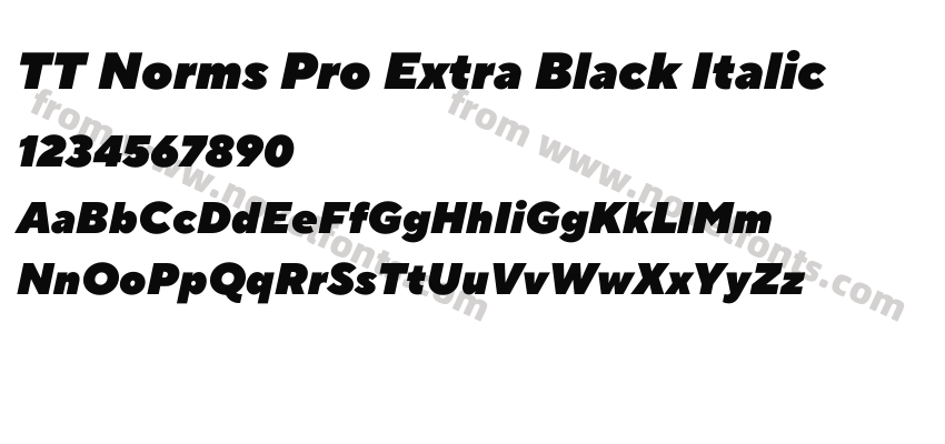 TT Norms Pro Extra Black ItalicPreview