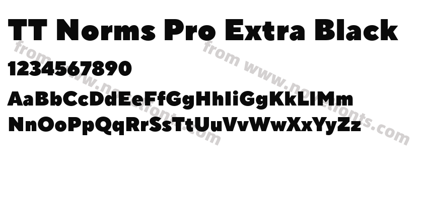 TT Norms Pro Extra BlackPreview