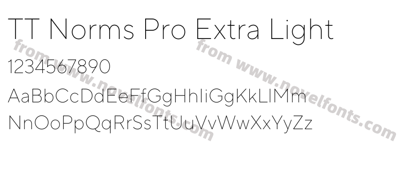 TT Norms Pro Extra LightPreview