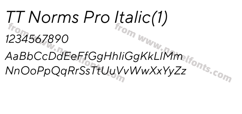 TT Norms Pro Italic(1)Preview