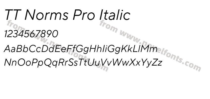 TT Norms Pro ItalicPreview