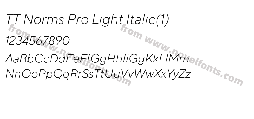 TT Norms Pro Light Italic(1)Preview