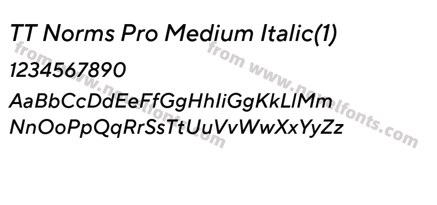 TT Norms Pro Medium Italic(1)Preview