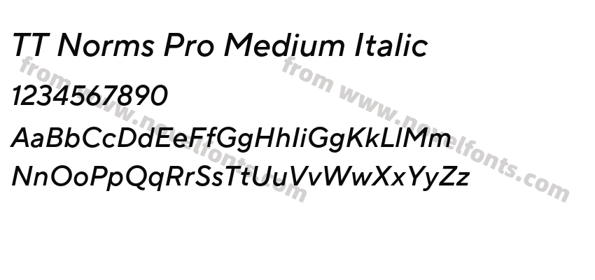 TT Norms Pro Medium ItalicPreview
