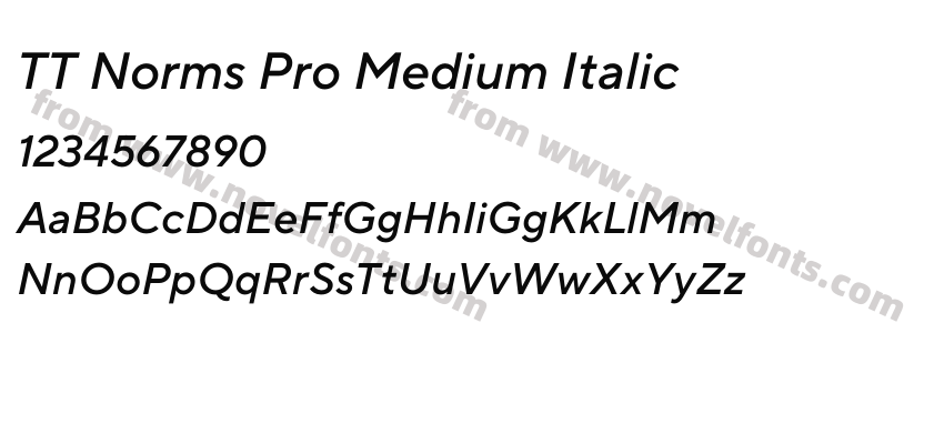 TT Norms Pro Medium ItalicPreview