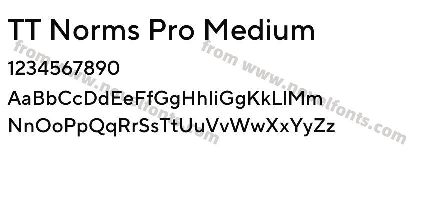 TT Norms Pro MediumPreview