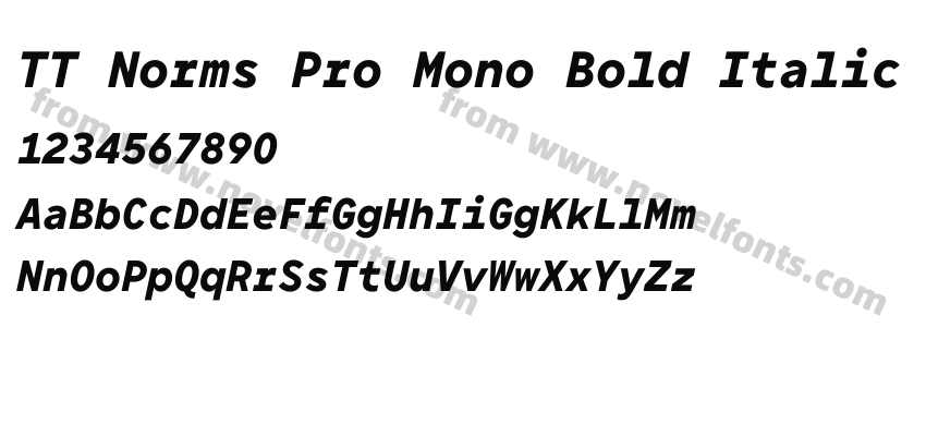 TT Norms Pro Mono Bold ItalicPreview