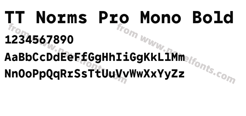 TT Norms Pro Mono BoldPreview