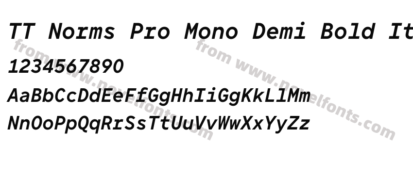 TT Norms Pro Mono Demi Bold ItalicPreview