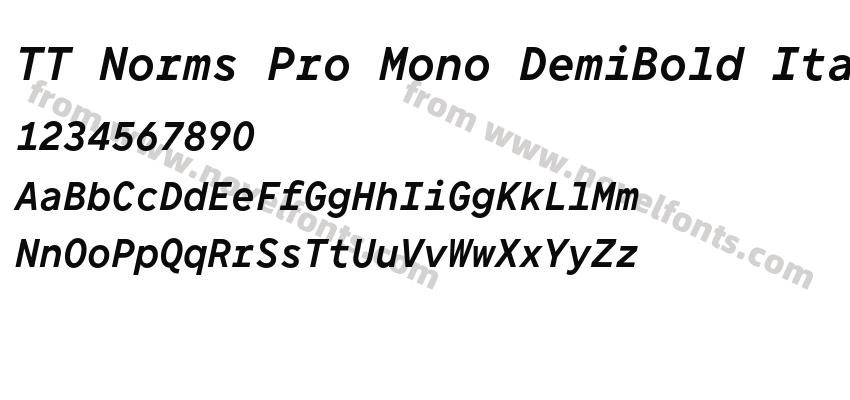 TT Norms Pro Mono DemiBold ItalicPreview