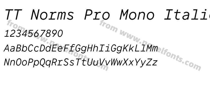 TT Norms Pro Mono ItalicPreview