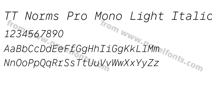 TT Norms Pro Mono Light ItalicPreview
