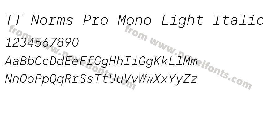 TT Norms Pro Mono Light ItalicPreview