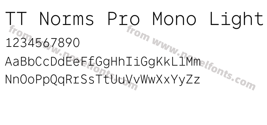 TT Norms Pro Mono LightPreview