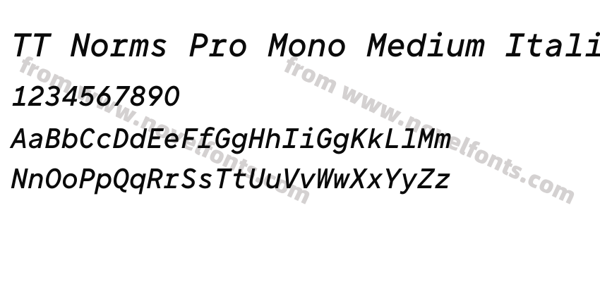 TT Norms Pro Mono Medium ItalicPreview
