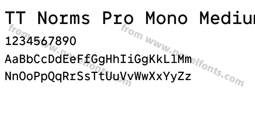 TT Norms Pro Mono MediumPreview