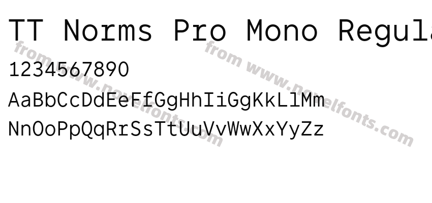 TT Norms Pro Mono RegularPreview